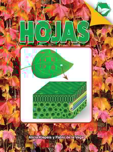 Hojas