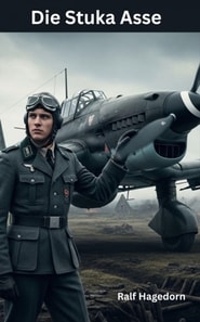Die Stuka Asse