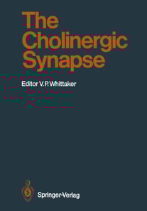 Cholinergic Synapse