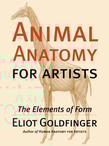 Animal Anatomy for Artists