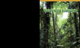 Life in a Rain Forest Ecosystem