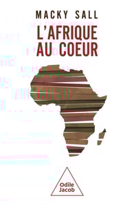 L' Afrique au c ur