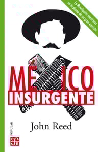 Mexico insurgente