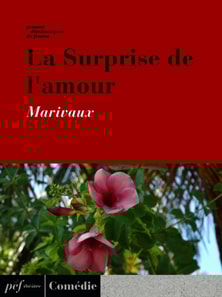 La Surprise de l'amour