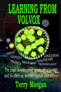 Learning from Volvox