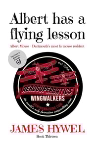 Albert has a Flying Lesson