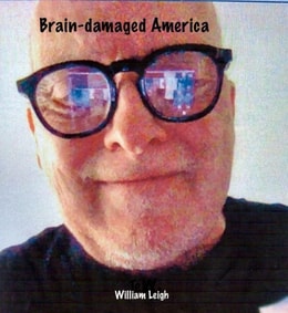 Brain-damaged America