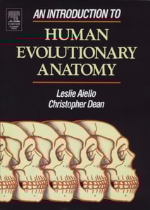 Introduction to Human Evolutionary Anatomy