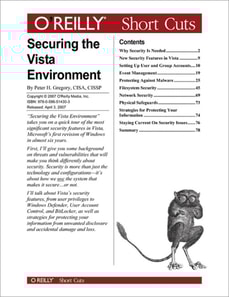 Securing the Vista Environment