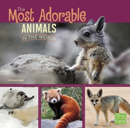 Most Adorable Animals in the World