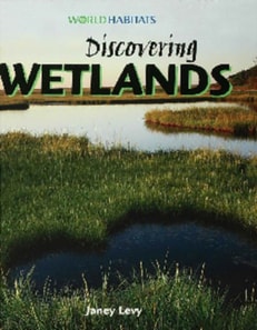 Discovering Wetlands