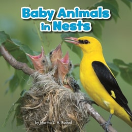 Baby Animals in Nests