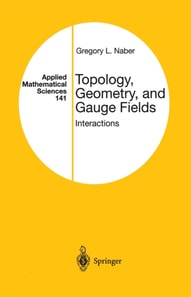 Topology, Geometry, and Gauge Fields