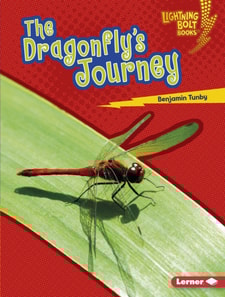 Dragonfly's Journey