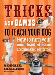 Tricks & Games To Teach Your Dog: How to turn your much loved pet