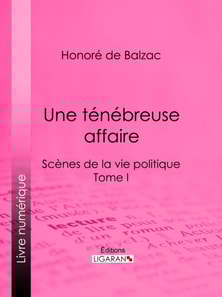 Une ténébreuse affaire