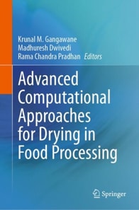 Advanced Computational Approaches for Drying in Food Processing