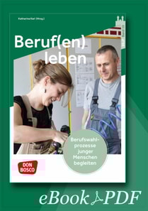 Beruf(en) leben - ebook