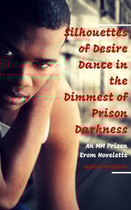 Silhouettes of Desire Dance in the Dimmest of Prison Darkness: An MM Prison Erom Novelette
