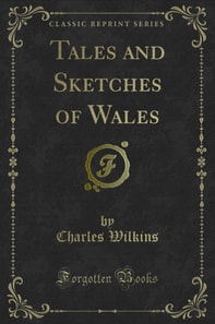 Tales and Sketches of Wales