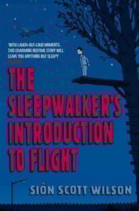 Sleepwalker's Introduction to Flight