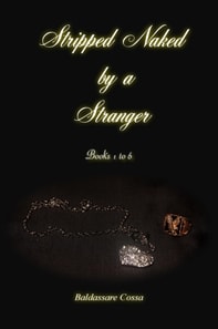 Stripped Naked by a Stranger Books 1 to 6