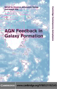 AGN Feedback in Galaxy Formation