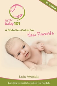 New Baby 101 - A Midwife's  Guide for New Parents
