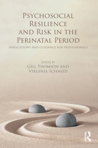 Psychosocial Resilience and Risk in the Perinatal Period