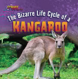 Bizarre Life Cycle of a Kangaroo
