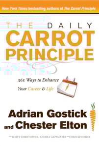 Daily Carrot Principle