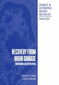 Recovery from Brain Damage