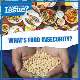 What's Food Insecurity?