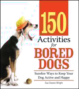 150 Activities For Bored Dogs