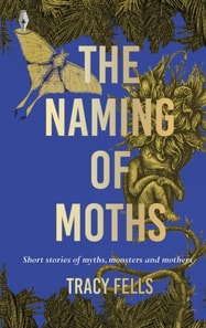 Naming of Moths