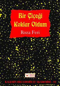 Bir Cicegi Koklar Oldum