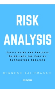Risk Analysis: Facilitating and Analysis Guidelines for Capital Expenditure Projects