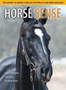 Horse Sense