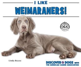 I Like Weimaraners!