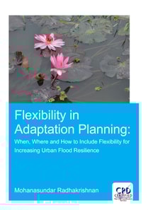Flexibility in Adaptation Planning