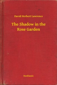 Shadow in the Rose Garden