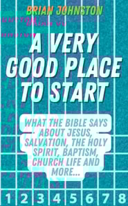 Very Good Place to Start: What the Bible Says About Jesus, Salvation, the Holy Spirit, Baptism, Church Life and More