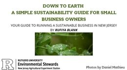 Down to Earth - A Simple Sustainability Guide for Small Business Owners
