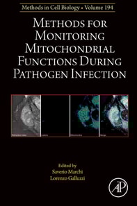 Methods for Monitoring Mitochondrial Functions During Pathogen Infection
