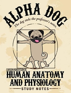 Intro To Human Anatomy & Physiology - Quick Review Notes Chapter 1