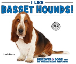 I Like Basset Hounds!