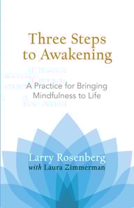 Three Steps to Awakening