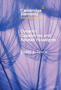 Dynamic Capabilities and Related Paradigms