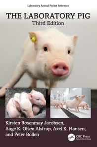Laboratory Pig