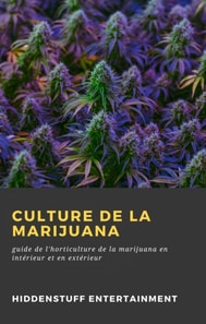 Culture de la Marijuana